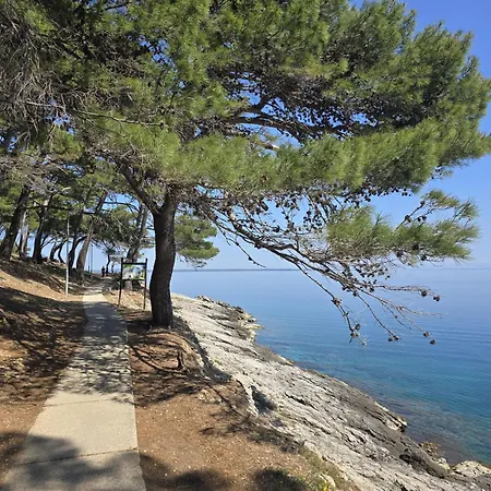 Adria Vista Losinj Apartman *
